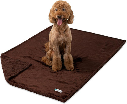 PetAmi Waterproof Dog Blanket for Couch, Large 60x40, Pee Proof Sherpa Fleece Reversible Pet Throw, Furniture Protector for Bed Sofa Kennel, Soft Washable Cover for Medium Dogs Cats, Grey Sherpa