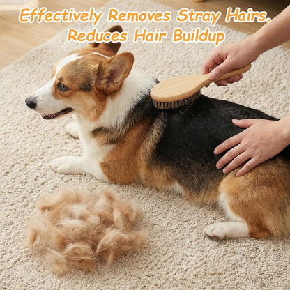 Bristle Dog Brush for Short Haired, Gentle Deshedding & Grooming Tool, Ideal Pet Hair Brush Puppy Essentials for Grooming and Shedding, Short Hair Dog Brushes