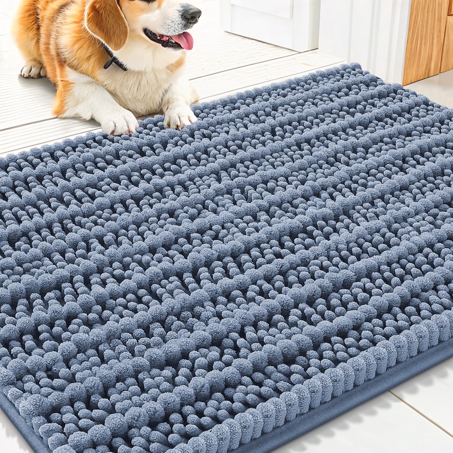 Smiry Dog Door Mat for Muddy Paws 30x20, Extra Soft Absorbent Chenille Doormat, Trap Moisture and Dirt, Non-Slip Machine Washable Front Door Mat for Indoor Entrance Inside Floor, Grey