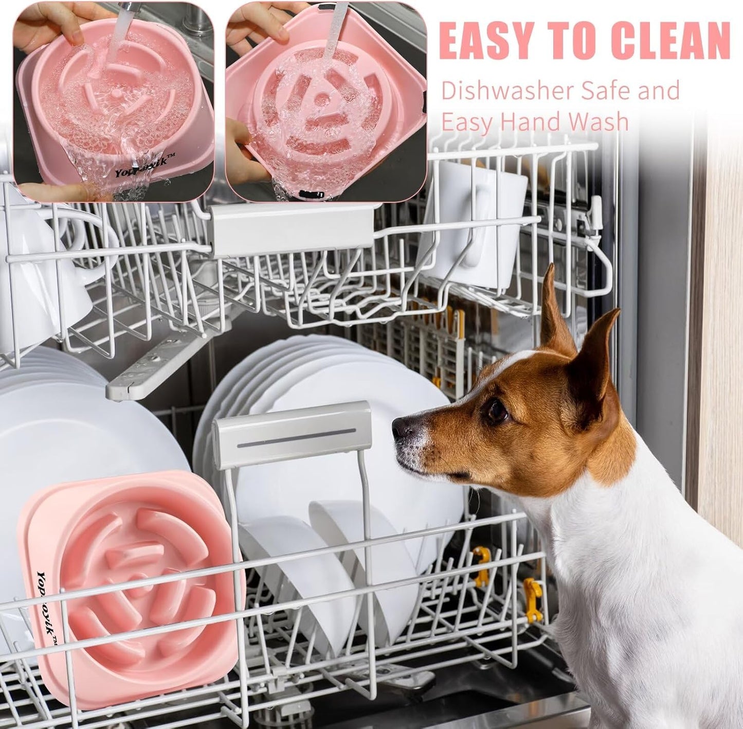 2 Pack Slow Feeder Dog Bowls for Healthy Eating, Non-Slip and Anti-Choking Design, Reduces Bloating & Overeating for Medium Dogs and Cats, Easy to Clean