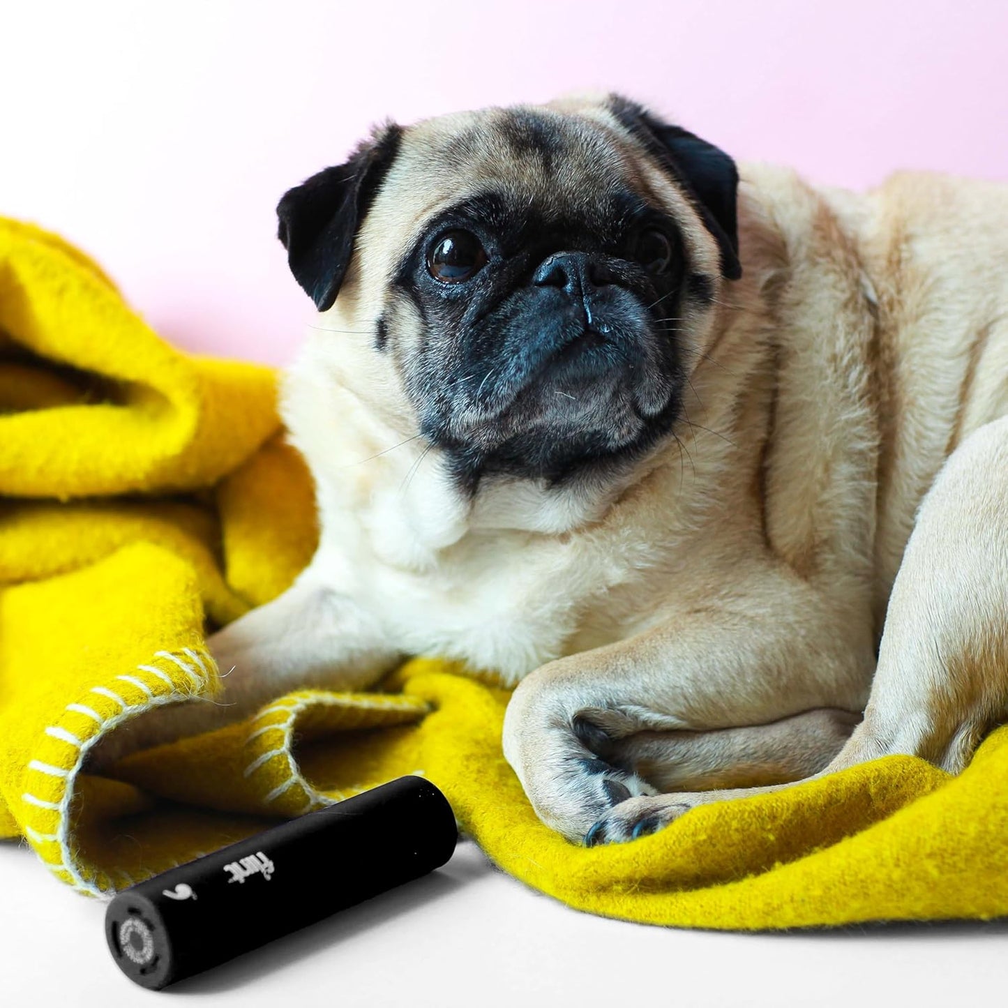Flint Rose Gold Retractable Mini Lint Roller with 90 Extra Sticky Sheets, Small and Portable Lint Roller, Ideal Pet Hair Remover, Travel Lint Rollers for pet Hair Extra Sticky