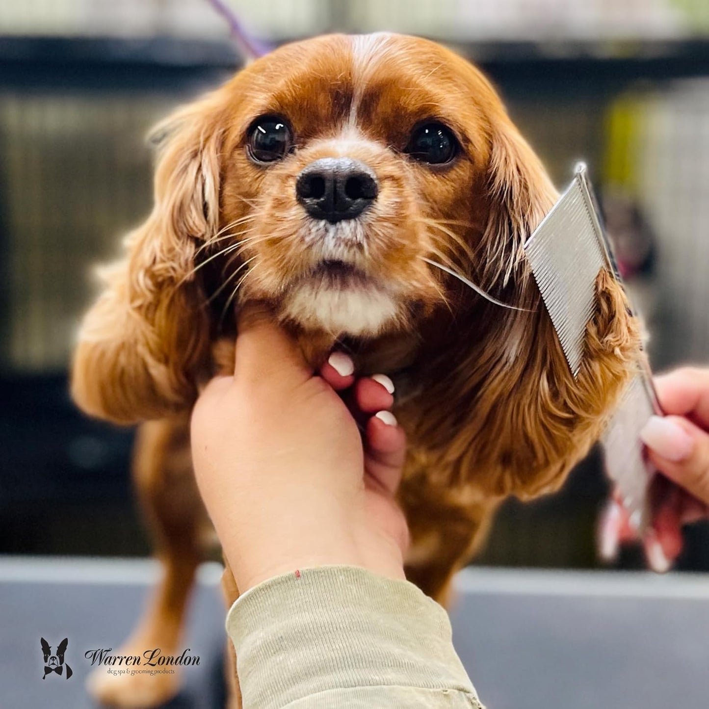 Warren London Detangling Strong Comb for Dogs | 10 inches | Comfort Control Durability and Detail for Small Medium Large Dogs | Ergonomic Dog Cat Grooming Pet Supplies Deshedding Mat Tool