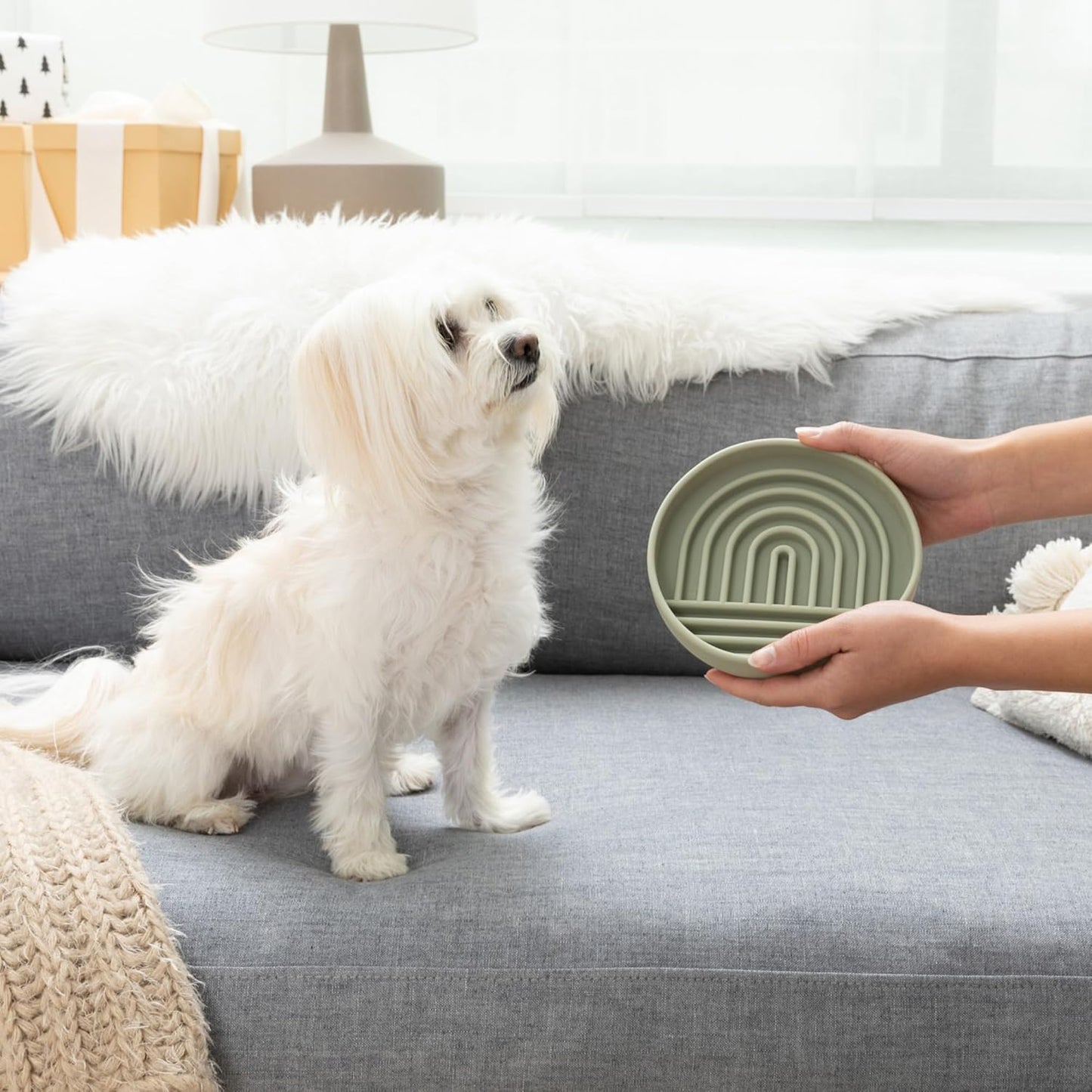 Should We Go? Slow Feeder for Dogs & Puppies, The Slowdown Bowl Silicone Slow Eating, Modern Lick Mat Design, Reduces Gulping, Fits 2 Cups, 7.5” Across x 1.5” Tall, Mealtime Challenge, Medium-Blush