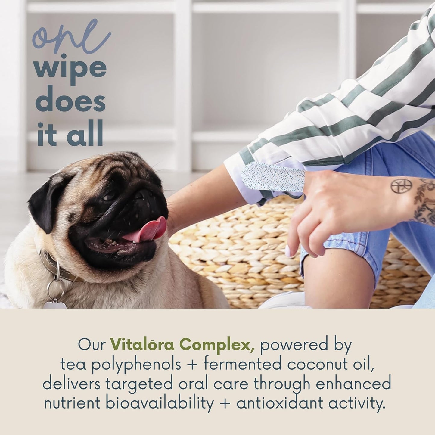 Advanced Dog & Cat Toothbrush Wipes | Pet Dental Finger Wipes | Infused Brushing Beads Remove Plaque & Tartar | Lasting Fresh Breath | Easy Daily Pet Dental Care | 50 Count