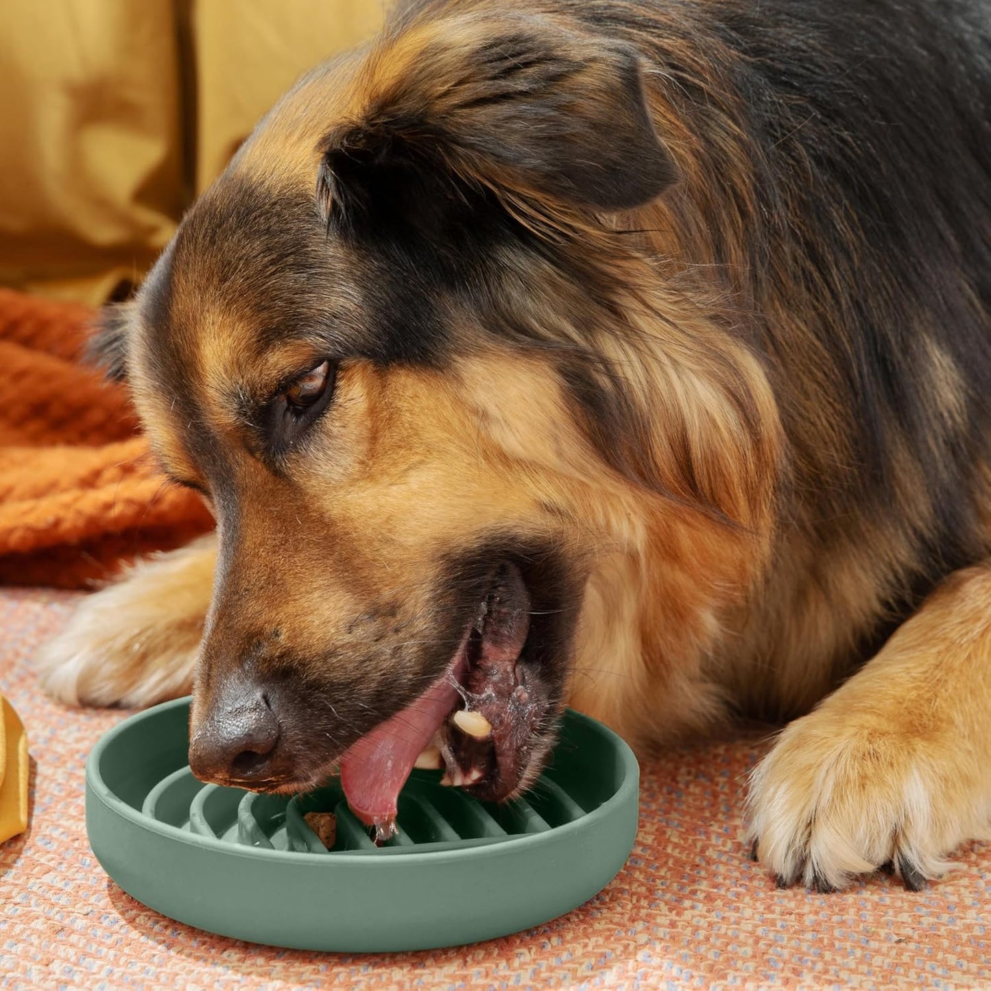 Should We Go? Slow Feeder for Dogs & Puppies, The Slowdown Bowl Silicone Slow Eating, Modern Lick Mat Design, Reduces Gulping, Fits 2 Cups, 7.5” Across x 1.5” Tall, Mealtime Challenge, Medium-Blush