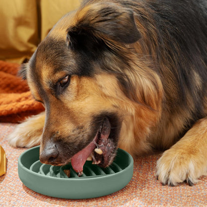 Should We Go? Slow Feeder for Dogs & Puppies, The Slowdown Bowl Silicone Slow Eating, Modern Lick Mat Design, Reduces Gulping, Fits 2 Cups, 7.5” Across x 1.5” Tall, Mealtime Challenge, Medium-Blush