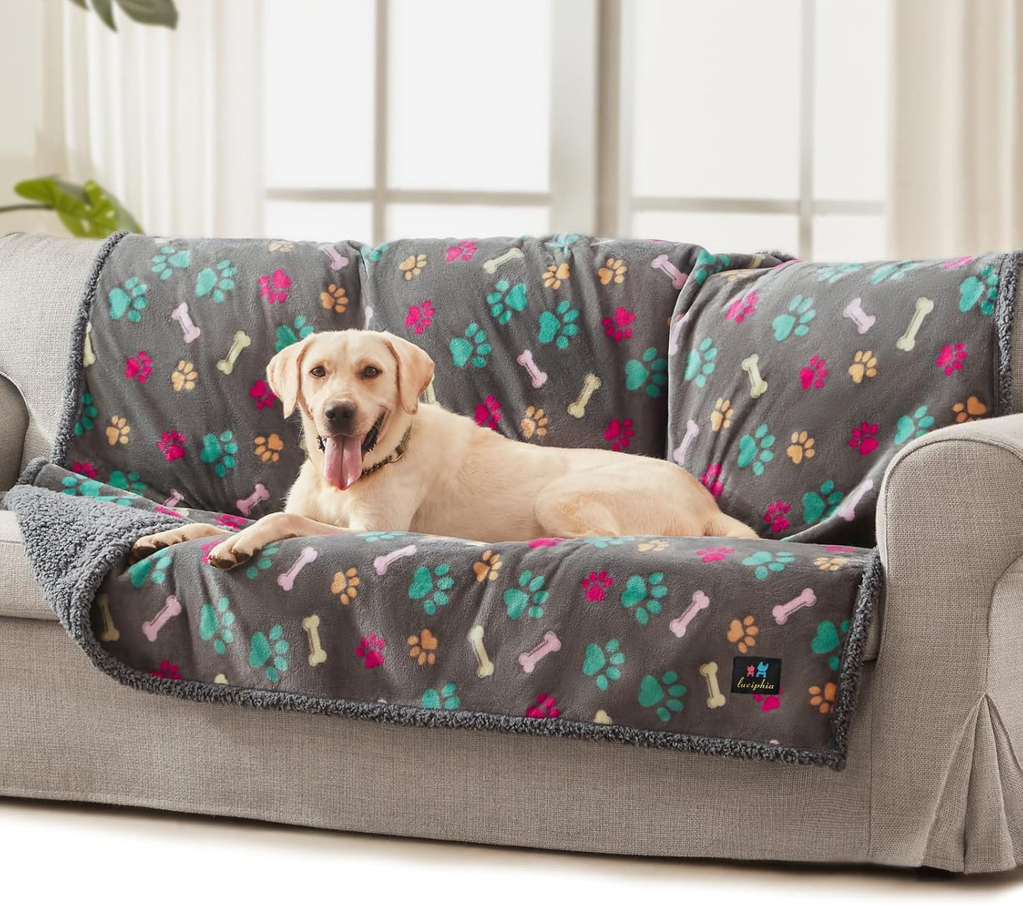 Luciphia Waterproof Pet Blankets for Couch Sofa Bed Cover Cat Liquid Pee Proof Washable Soft Fluffy Large Dog Blanket Reversible Furniture Protection Puppy Grey Paw Thicken Small（40" x 28"）
