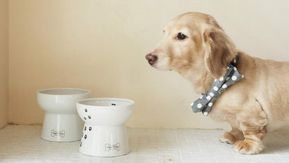 Necoichi Raised Dog Food Bowl, Elevated, for Dogs and Cats, Pets Feeding Feeder Non-Slip for Small Dogs Dishwasher and Microwave Safe, No.1 Seller in Japan! (Dog, Extra Wide Tilted)