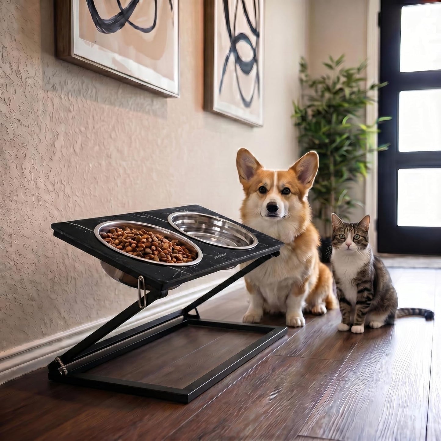 Elevated Dog Bowls, Adjustable Raised Dog Bowl Stand with 2 Stainless Steel Food Bowls 20°Tilted Water Bowls for Medium Small Sized Dogs (Black, Medium)