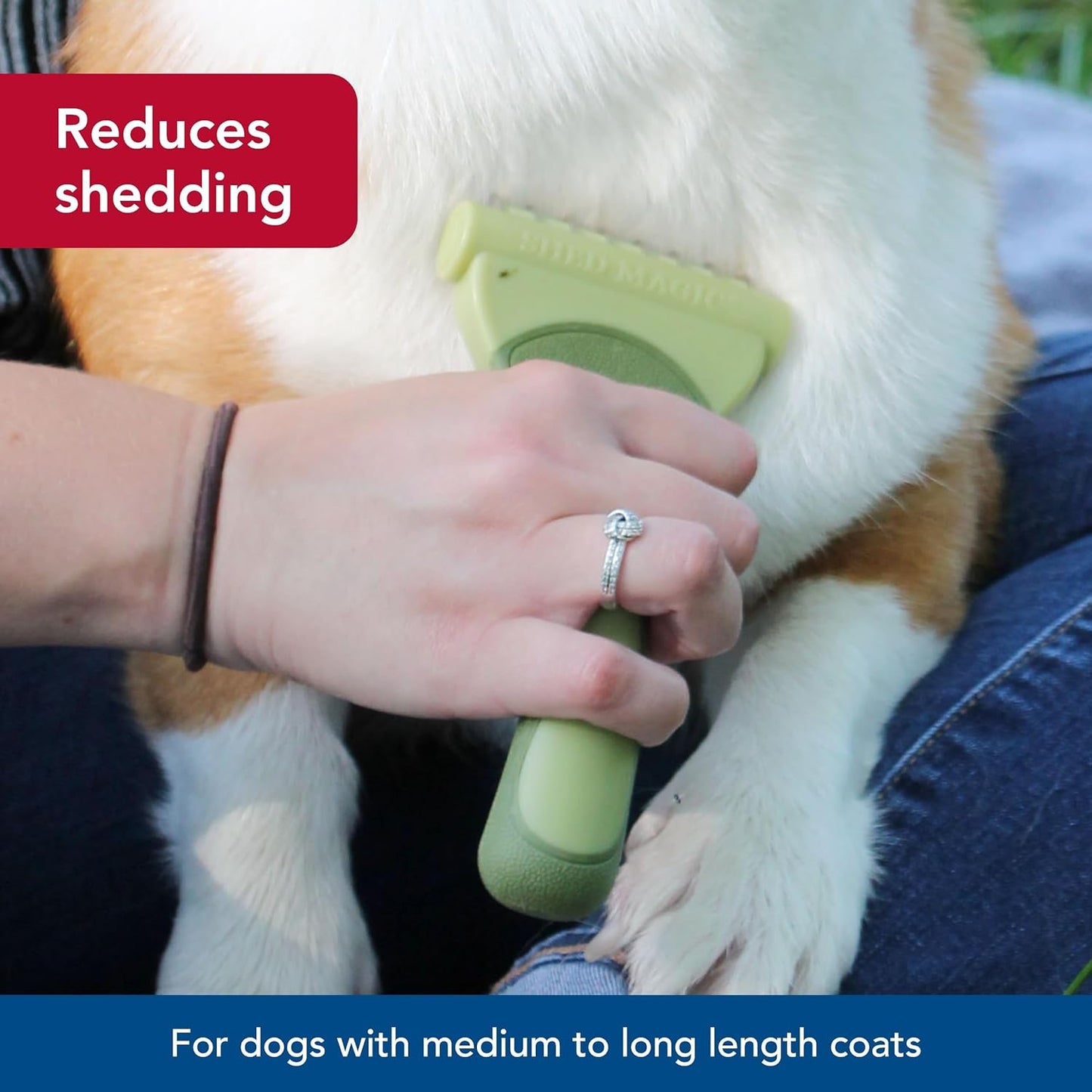 Coastal Pet Safari Shed Magic Deshedding Tool for Dogs with Medium to Long Hair - Deshedding & Detangling Dog Brush - Medium