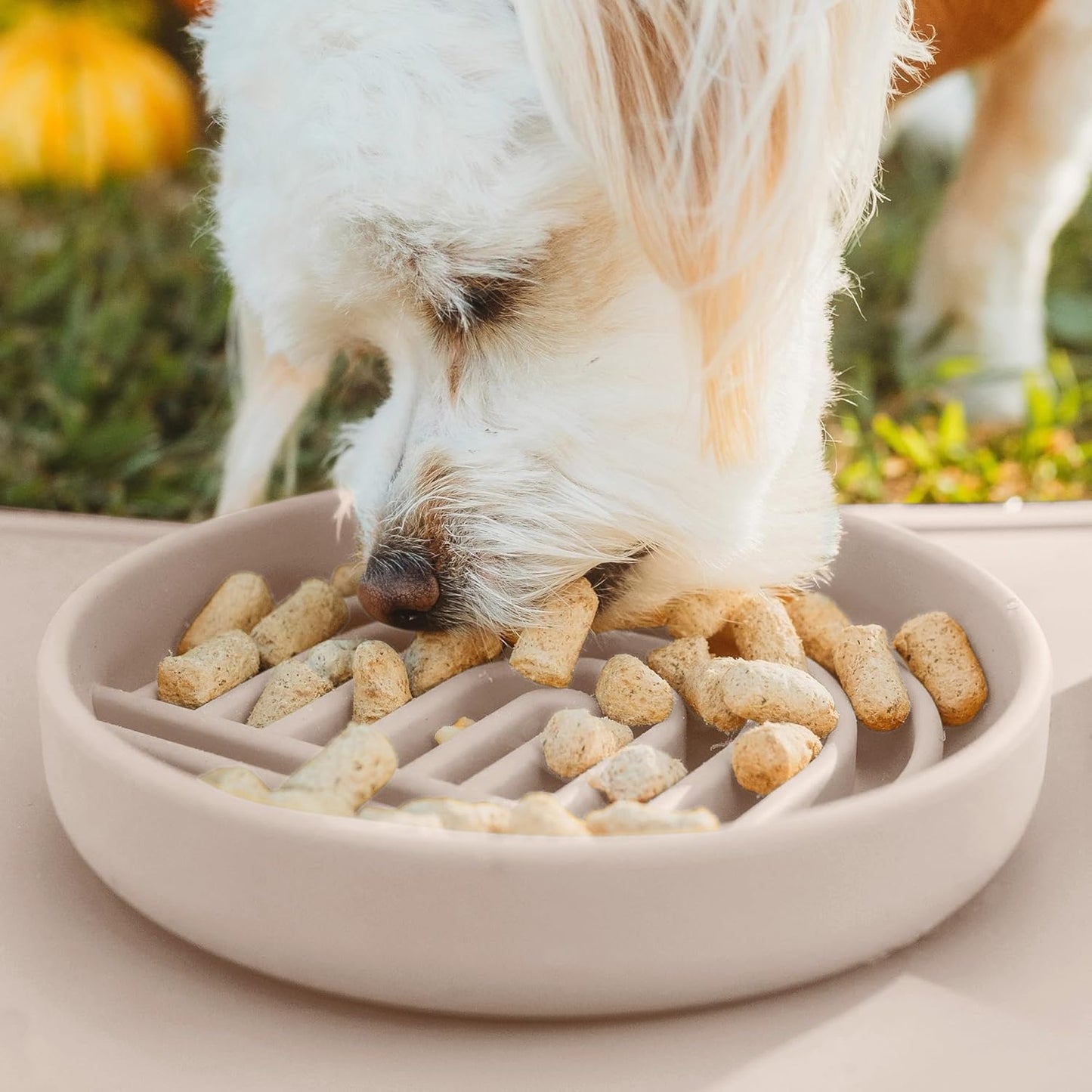Should We Go? Slow Feeder for Dogs & Puppies, The Slowdown Bowl Silicone Slow Eating, Modern Lick Mat Design, Reduces Gulping, Fits 2 Cups, 7.5” Across x 1.5” Tall, Mealtime Challenge, Medium-Blush