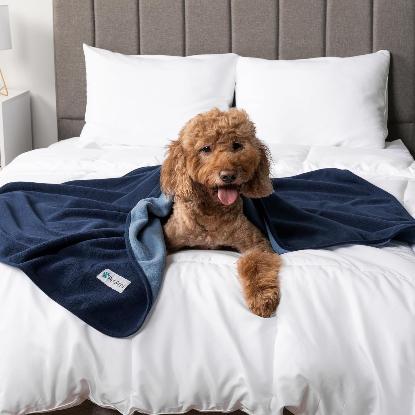 PetAmi Waterproof Dog Blanket for Medium Large Pets Dogs Cats, Pet Couch Cover Protector for Furniture, Reversible Washable Soft Fleece Cat Blanket for Bed Couch Sofa, 40x60 (Taupe/Beige)
