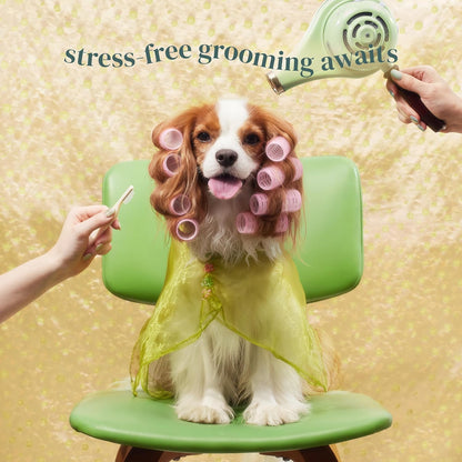 [petora] BRUSH ON ME Gentle Facial & Eye Comb for Dogs & Cats | Smooth & Stress-Free Tear Stain Remover | Fine-Tooth Grooming Tool with Rounded Tips | Comfortable Grip for Daily Pet Grooming