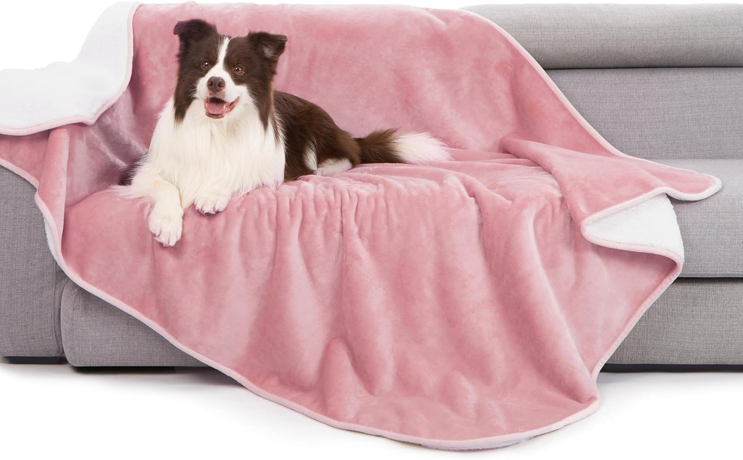 gogobunny Waterproof Blanket for Bed Couch Sofa, Liquid Pee and Fur Proof Pet Blanket for Dog Puppy Cat, Reversible Sherpa Fleece Throw Blanket Furniture Cover Protector (Grey, 50x60 inches)