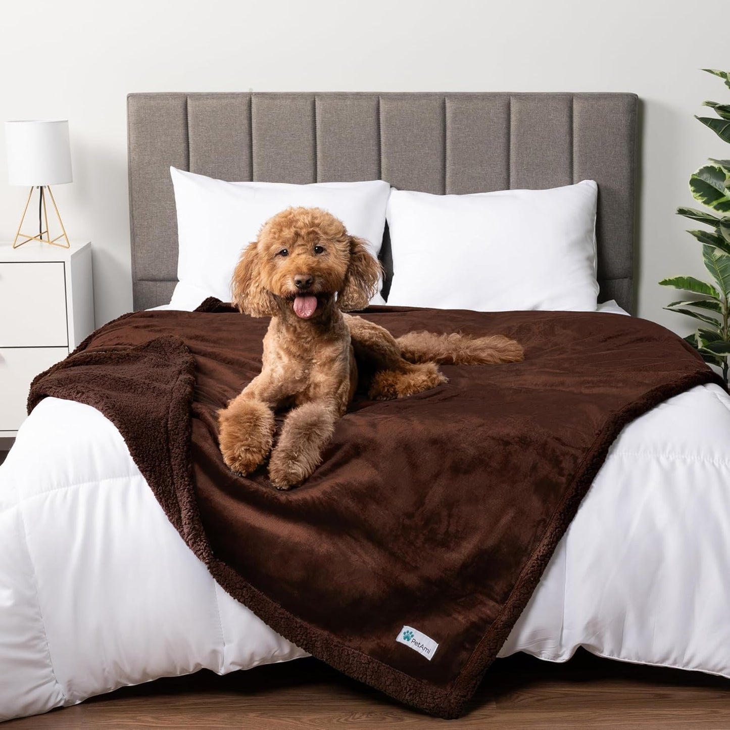 PetAmi Waterproof Dog Blanket for Couch, Large 60x40, Pee Proof Sherpa Fleece Reversible Pet Throw, Furniture Protector for Bed Sofa Kennel, Soft Washable Cover for Medium Dogs Cats, Grey Sherpa