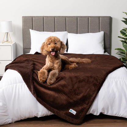 PetAmi Waterproof Dog Blanket for Couch, Large 60x40, Pee Proof Sherpa Fleece Reversible Pet Throw, Furniture Protector for Bed Sofa Kennel, Soft Washable Cover for Medium Dogs Cats, Grey Sherpa