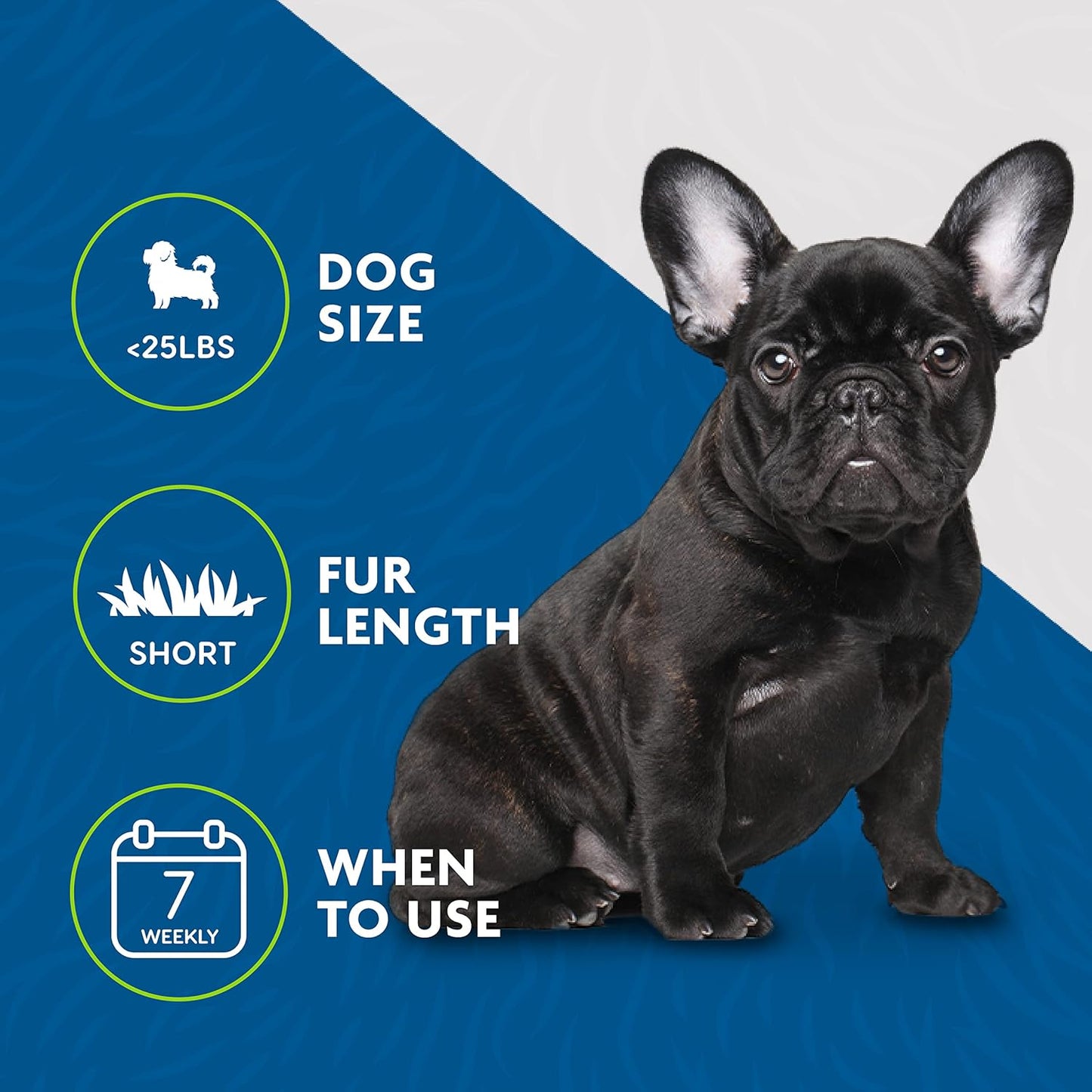 FURminator Large Dog Undercoat deShedding Tool for Short Hair, Reduces Loose Hair From Shedding