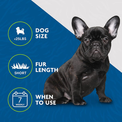 FURminator Large Dog Undercoat deShedding Tool for Short Hair, Reduces Loose Hair From Shedding