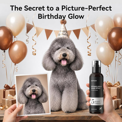 aumuca Dog Detangling & Shine Spray – Leave-in Conditioner & Dematting Spray for Doodles, Cats & Horses Without Buildup | 5-Protein Complex for Deep Repair & Enhanced Shine | 8 Fl Oz (Meadowfoam)