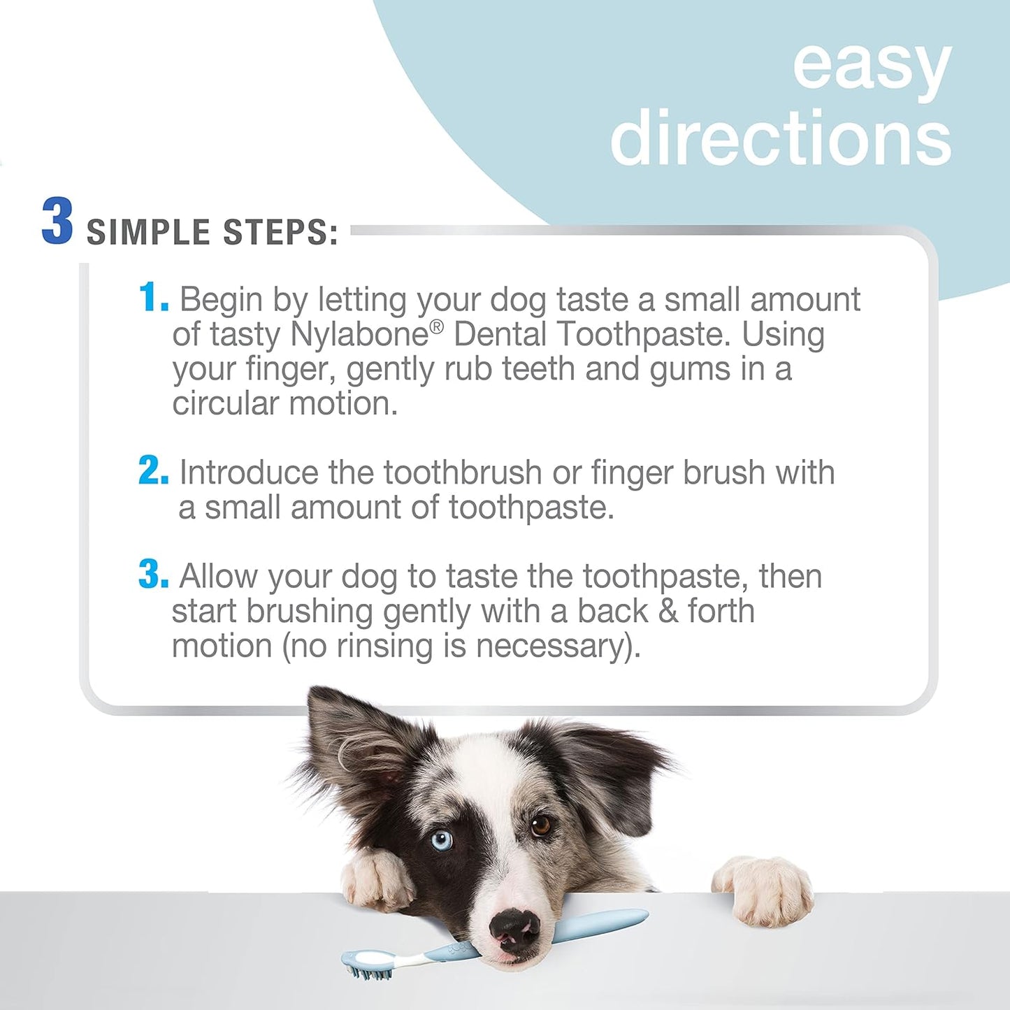 Nylabone Advanced Oral Care Natural Toothpaste Peanut Butter 2.5 oz. (1 Count)