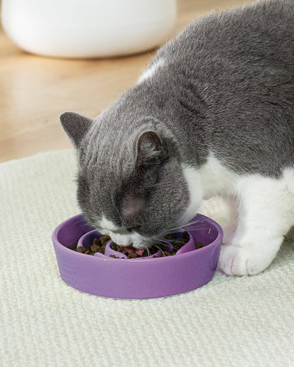 TRUVIC Ceramic Slow Feeder Dog Bowls Small Breed, 0.6 Cup Slow Feeder Cat Bowls for Fast Eaters, Ceramic Dog Food Dish no Black Chin, Puzzle Bowl for Small Dogs and Cats, White
