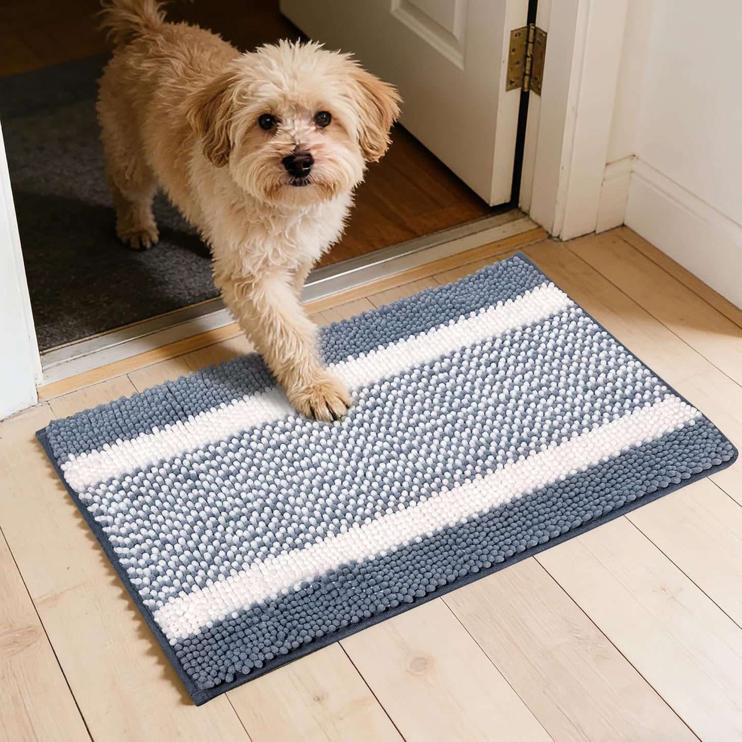 Dog Door Mat for Muddy Paws - Absorbent Quick-Dry Non-Slip Washable Chenille Pet Rug, Indoor Entryway Mat for Front Door & Crate (Brown, 24" L*16" W)