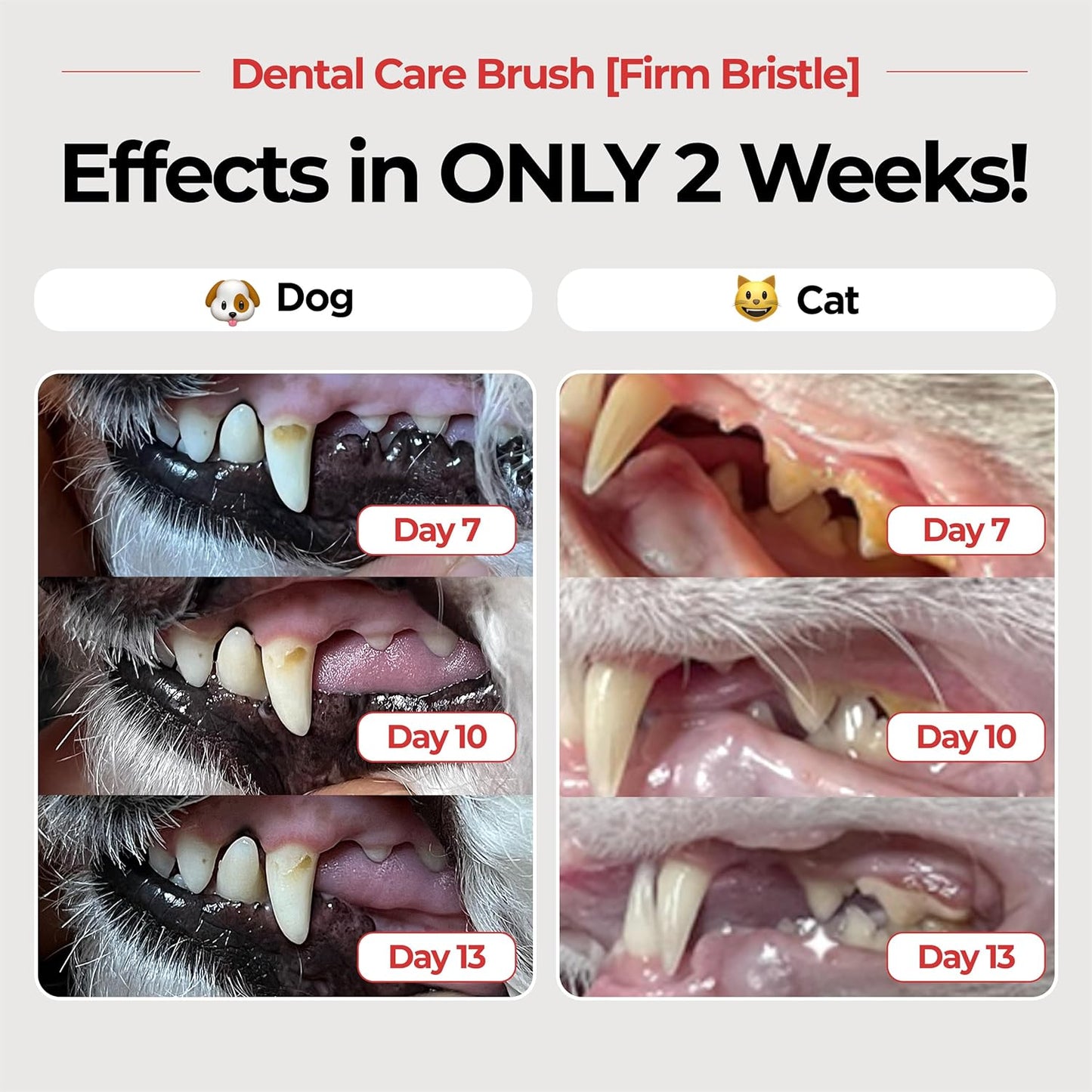 JAYU PET Dental Care Brush with Soft Bristles 1ea - Dog Toothbrush, Cat Toothbrush, Dental Care for Kitten and Small Dogs, Removing Old Plaque and Tartar, Easy Cleaning