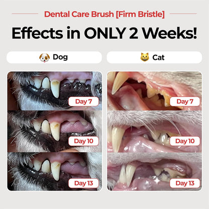 JAYU PET Dental Care Brush with Soft Bristles 1ea - Dog Toothbrush, Cat Toothbrush, Dental Care for Kitten and Small Dogs, Removing Old Plaque and Tartar, Easy Cleaning