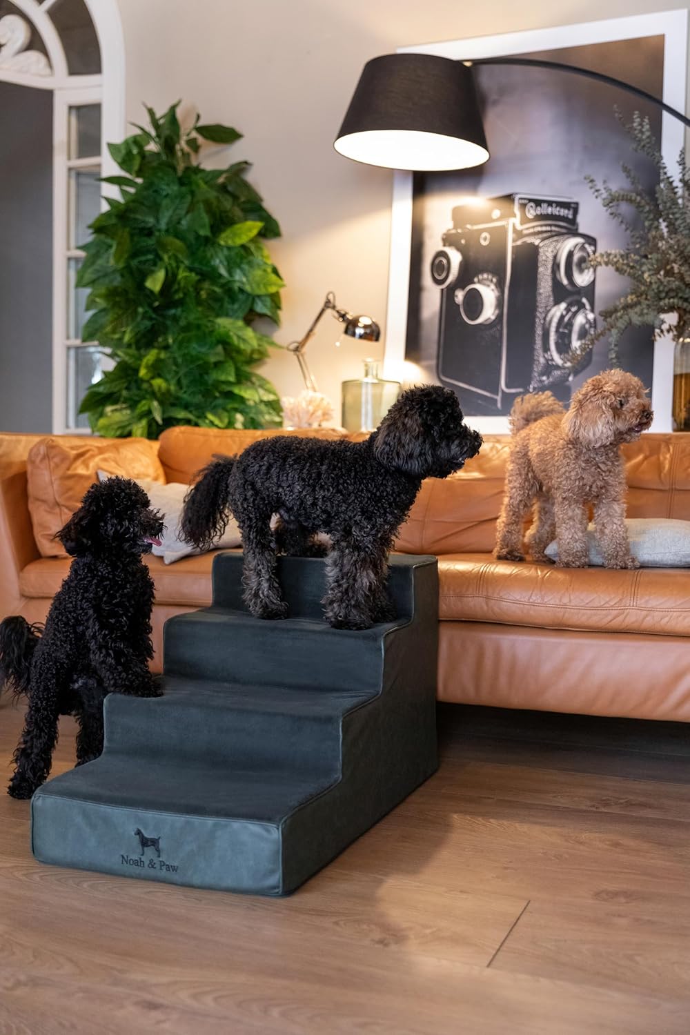 Noah & Paw Dog Stairs, Dog Ramp for Bed (20" Extra Wide) Pet Stairs for High Bed, Design to Fit Small and Large Breeds, Durable 5 Pet Steps for Couch (35 Foam Density) Leather Collection