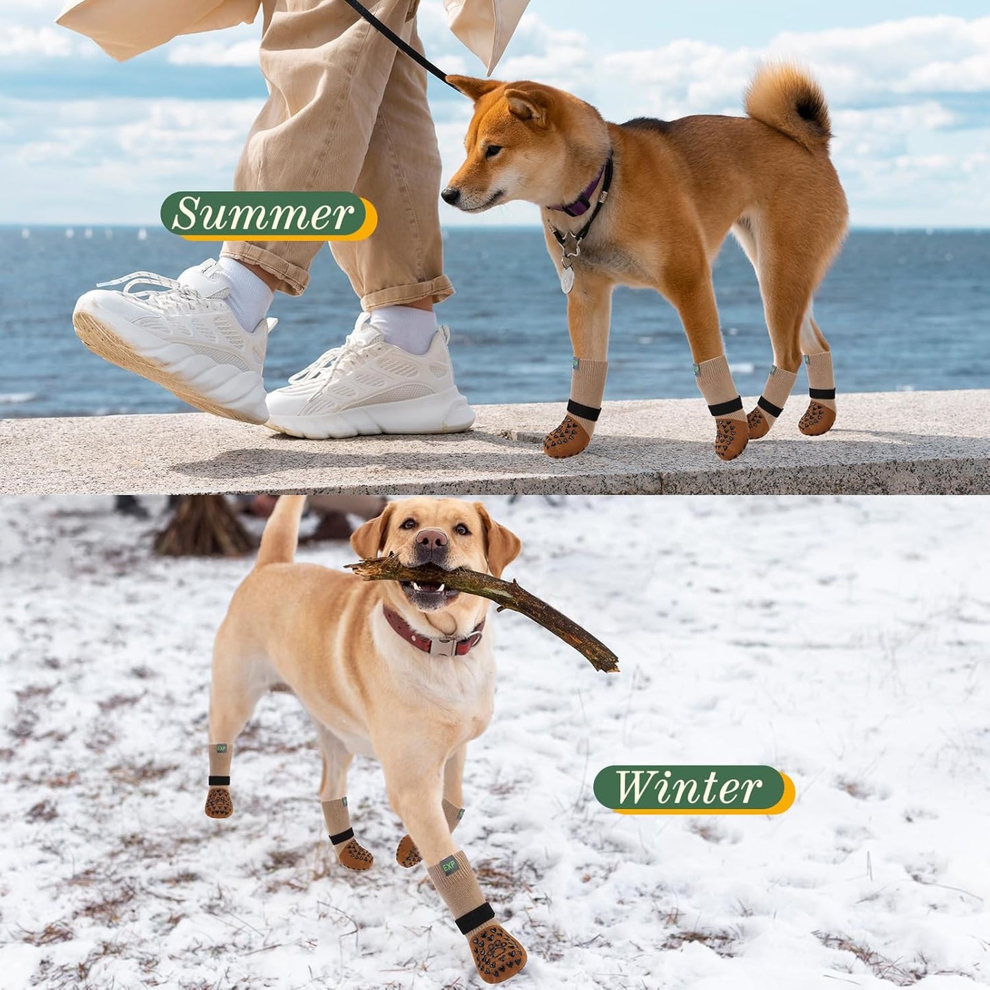 EXPAWLORER Anti Slip Dog Socks to Prevent Licking Paws, Dog Shoes for Hot Pavement Walk, Dog Booties for Hardwood Floors, Dog Boots & Paw Protectors with Grippers for Small Medium Large Senior Dogs M