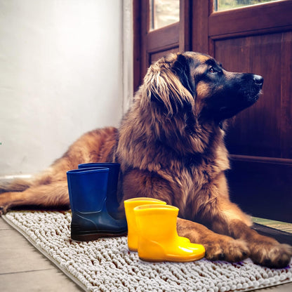 DogBuddy Dog Door Mat for Muddy Paws, Absorbent Microfiber Pet Rug, Waterproof Non-Slip Doormat, Washable Rugs for Dogs, Entryway Indoor Outdoor Mat, Dog Supplies (Medium, Shadow)