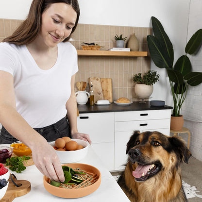 Should We Go? Slow Feeder for Dogs & Puppies, The Slowdown Bowl Silicone Slow Eating, Modern Lick Mat Design, Reduces Gulping, Fits 2 Cups, 7.5” Across x 1.5” Tall, Mealtime Challenge, Medium-Blush