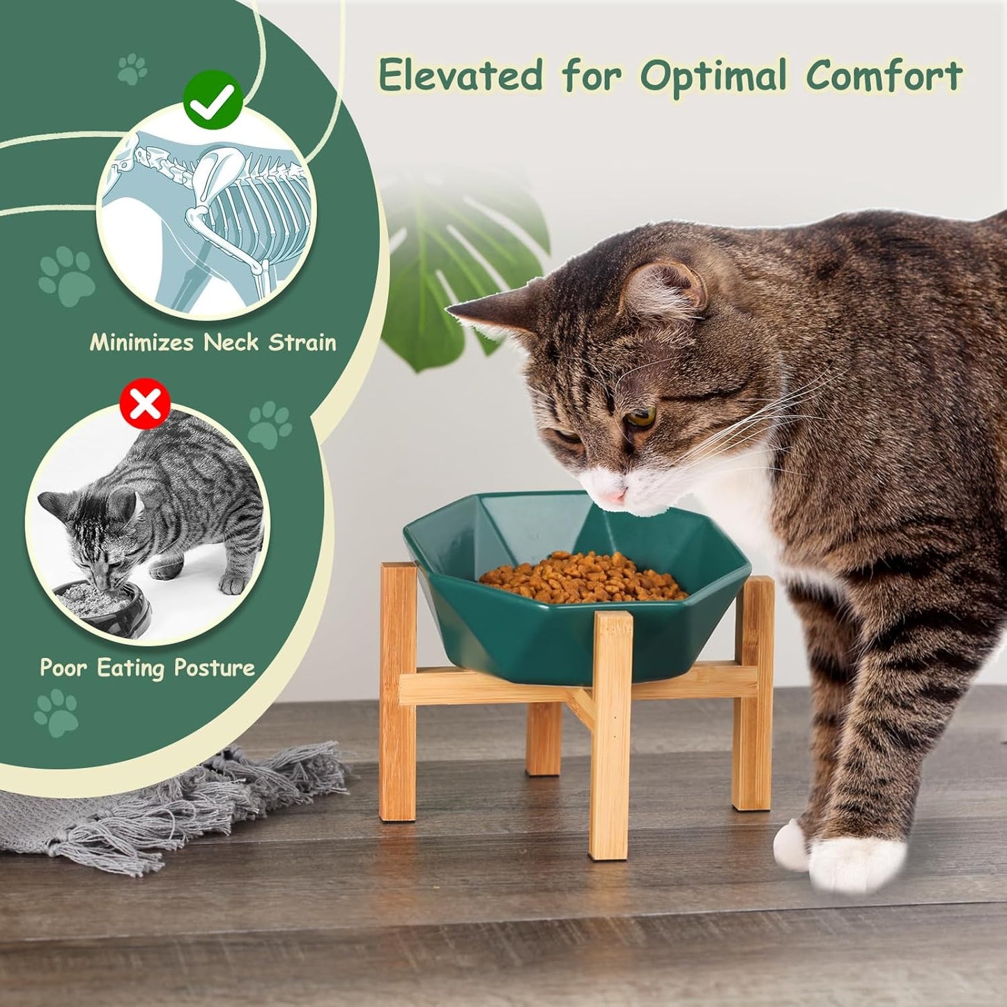 Ceramic Tilted Raised Cat Bowl - Elevated Food Bowl for Indoor Cats & Small Dogs - Shallow Wide Whisker-Friendly Design - Pet Dish Suitable for Feeding Dry, Wet, Treats & Canned Food - White