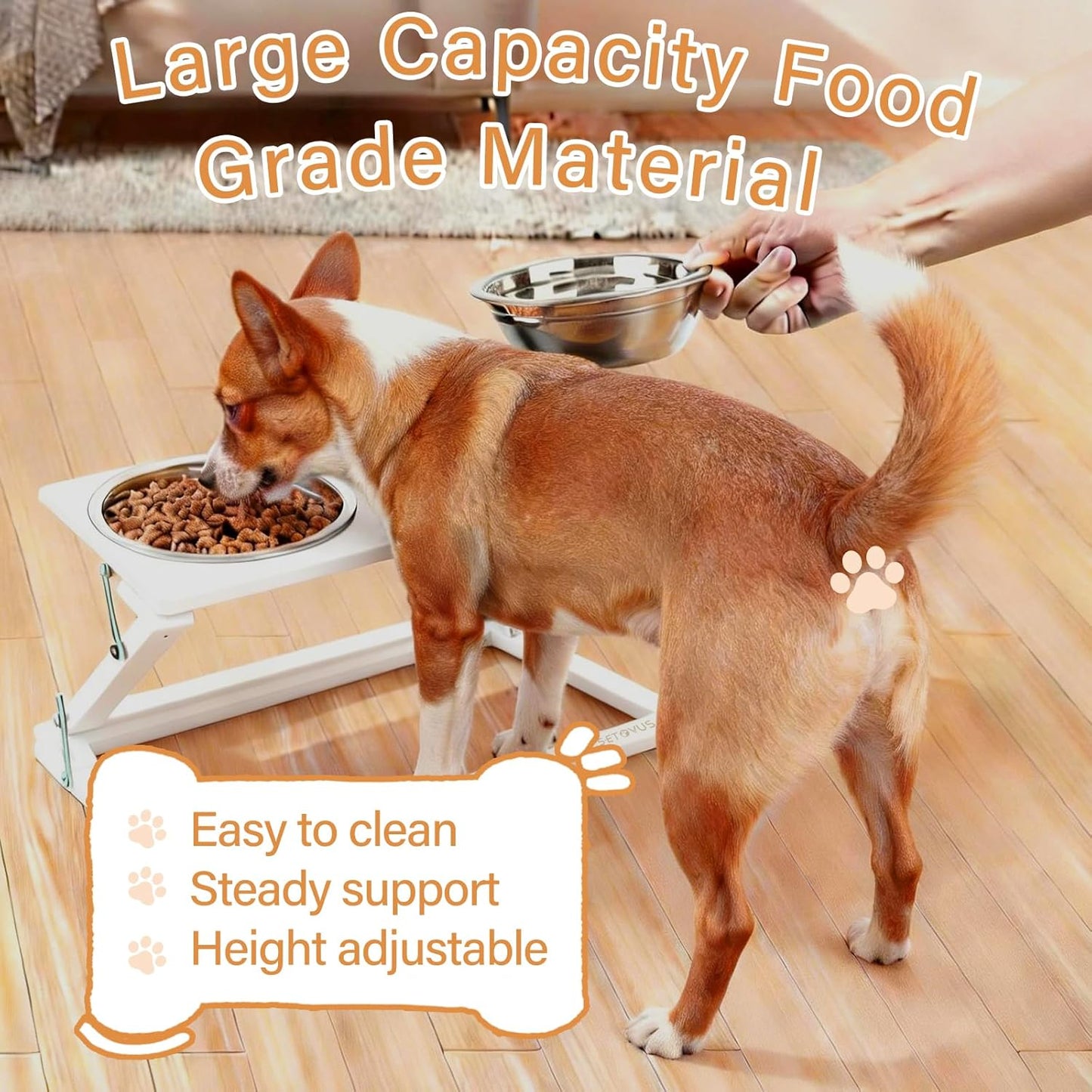 Elevated Dog Bowls, Adjustable Raised Dog Bowl Stand with 2 Stainless Steel Food Bowls 20°Tilted Water Bowls for Medium Small Sized Dogs (Black, Medium)