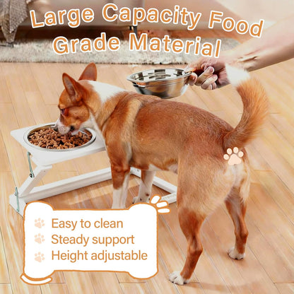Elevated Dog Bowls, Adjustable Raised Dog Bowl Stand with 2 Stainless Steel Food Bowls 20°Tilted Water Bowls for Medium Small Sized Dogs (Black, Medium)