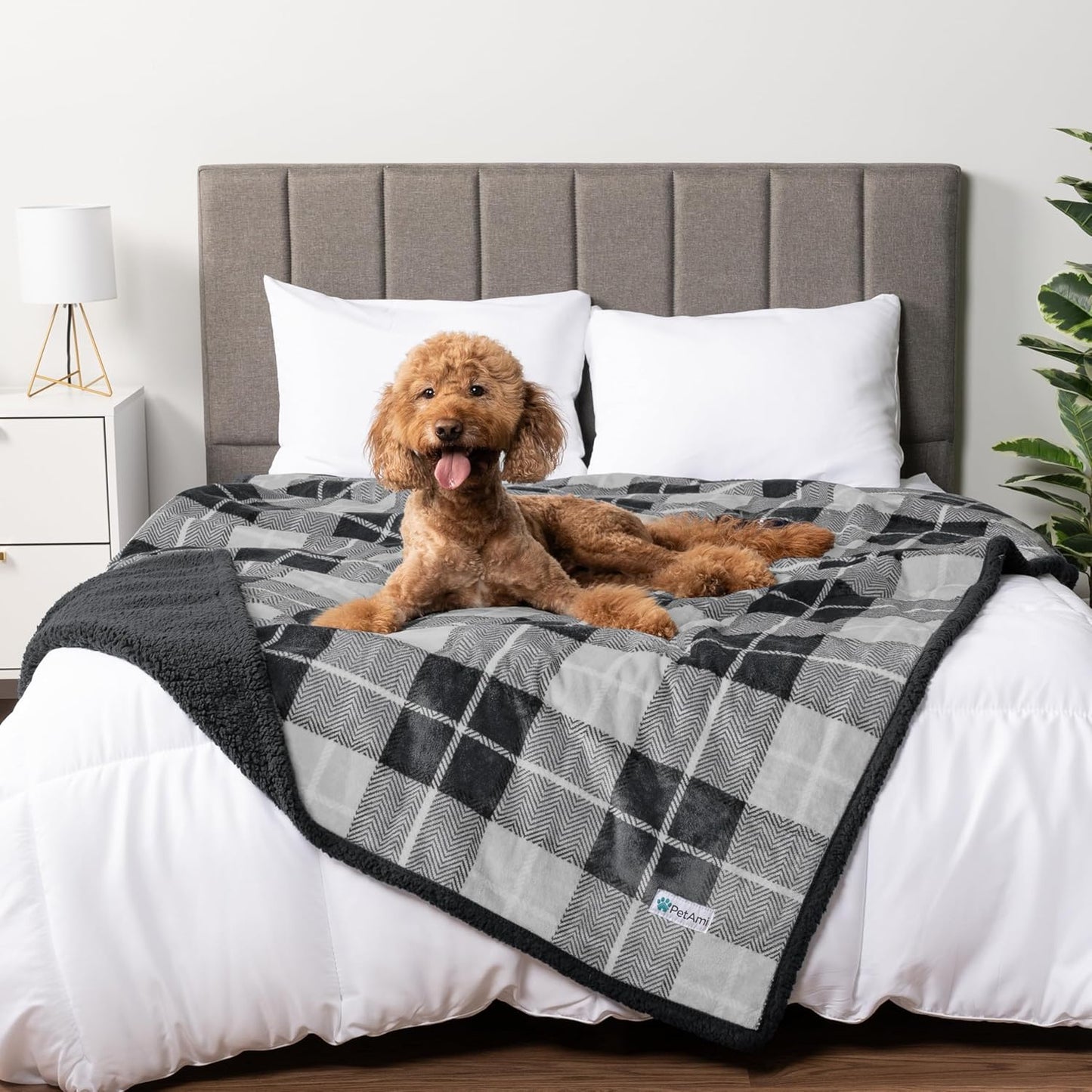 PetAmi Waterproof Dog Blanket for Couch, Large 60x40, Pee Proof Sherpa Fleece Reversible Pet Throw, Furniture Protector for Bed Sofa Kennel, Soft Washable Cover for Medium Dogs Cats, Grey Sherpa
