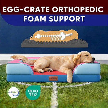 Comfort Expression Orthopedic Dog Bed for Extra Large Dogs 42x30 Inch, Waterproof Egg Crate Foam XL Pet Bed with Removable Bolsters, Dog Couch with Washable Cover & Non-Slip Bottom, Grey - Colors B