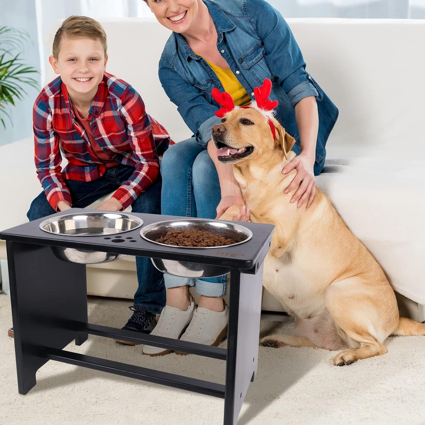 HTB Elevated Dog Bowls,Raised Dog Bowl Stand with 2 Stainless Steel Bowls,Elevated Raised Dog Bowls for Large Medium Small Sized Dogs