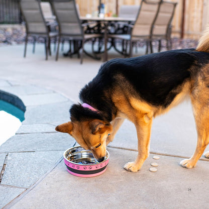 Loving Pets Corsa Dog Bowls- Stainless Steel Dog & Cat Bowls - Spill Proof Dog Food Bowl, Cat Bowl, Puppy Essentials & Pet Supplies Great for Home & Travel (Small 10-20 lbs, Rapid Blue)