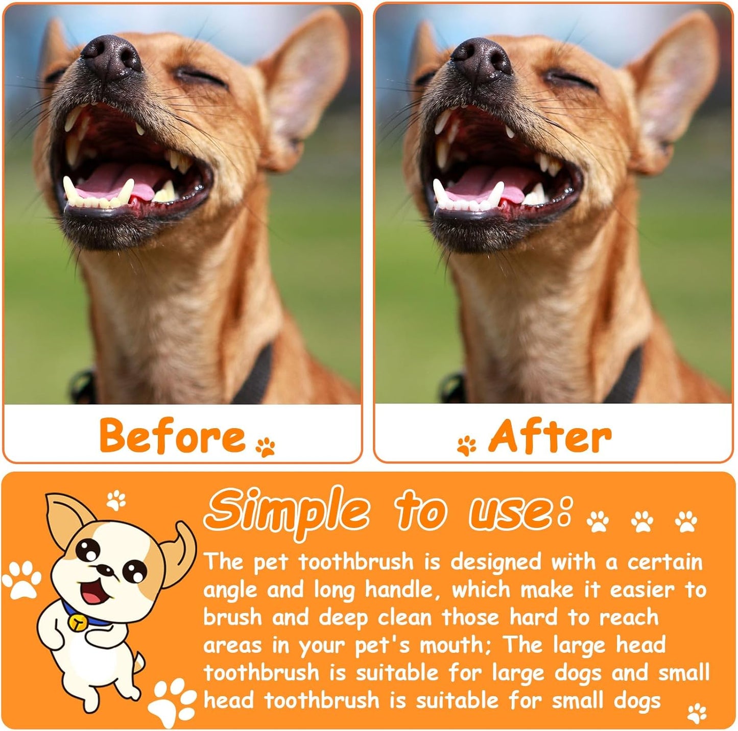 Honeydak Dog Toothbrush Bulk Dual Headed Dental Brushes Dogs Tooth Brushing Kit Long Handle Pet Tooth Brush for Puppy Large Small Cats and Most Pets Teeth Cleaning Dental Supplies(70 Pcs,Colorful)