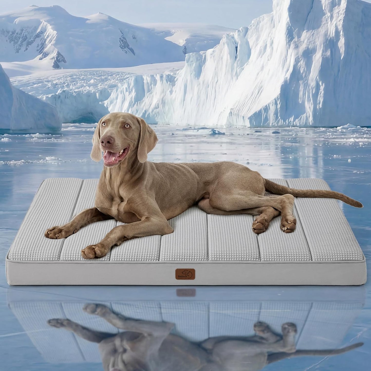 Bedsure Dog Beds Large Sized Dog - Comfy Flat Pet Beds with Removable Washable Cover, Orthopedic Egg Crate Foam Puppy Mat, Suitable for Pet Up to 65 lbs