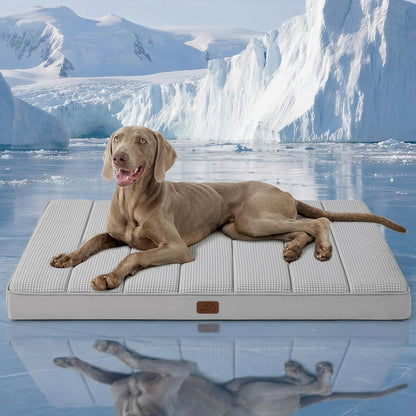 Bedsure Dog Beds Large Sized Dog - Comfy Flat Pet Beds with Removable Washable Cover, Orthopedic Egg Crate Foam Puppy Mat, Suitable for Pet Up to 65 lbs