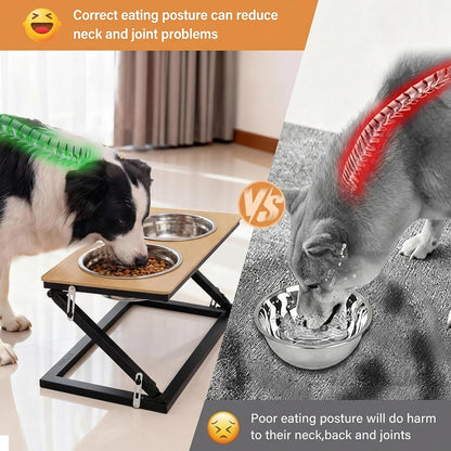Elevated Dog Bowls, Adjustable Raised Dog Bowl Stand with 2 Stainless Steel Food Bowls 20°Tilted Water Bowls for Medium Small Sized Dogs (Black, Medium)
