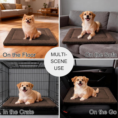 Dog Bed Mat, Reversible Crate Pad & Cute Dog Bed - Machine Washable Kennel Mat with Ultra Soft for Small Dogs (Cool/Warm), 24" x 18", Grey&Star