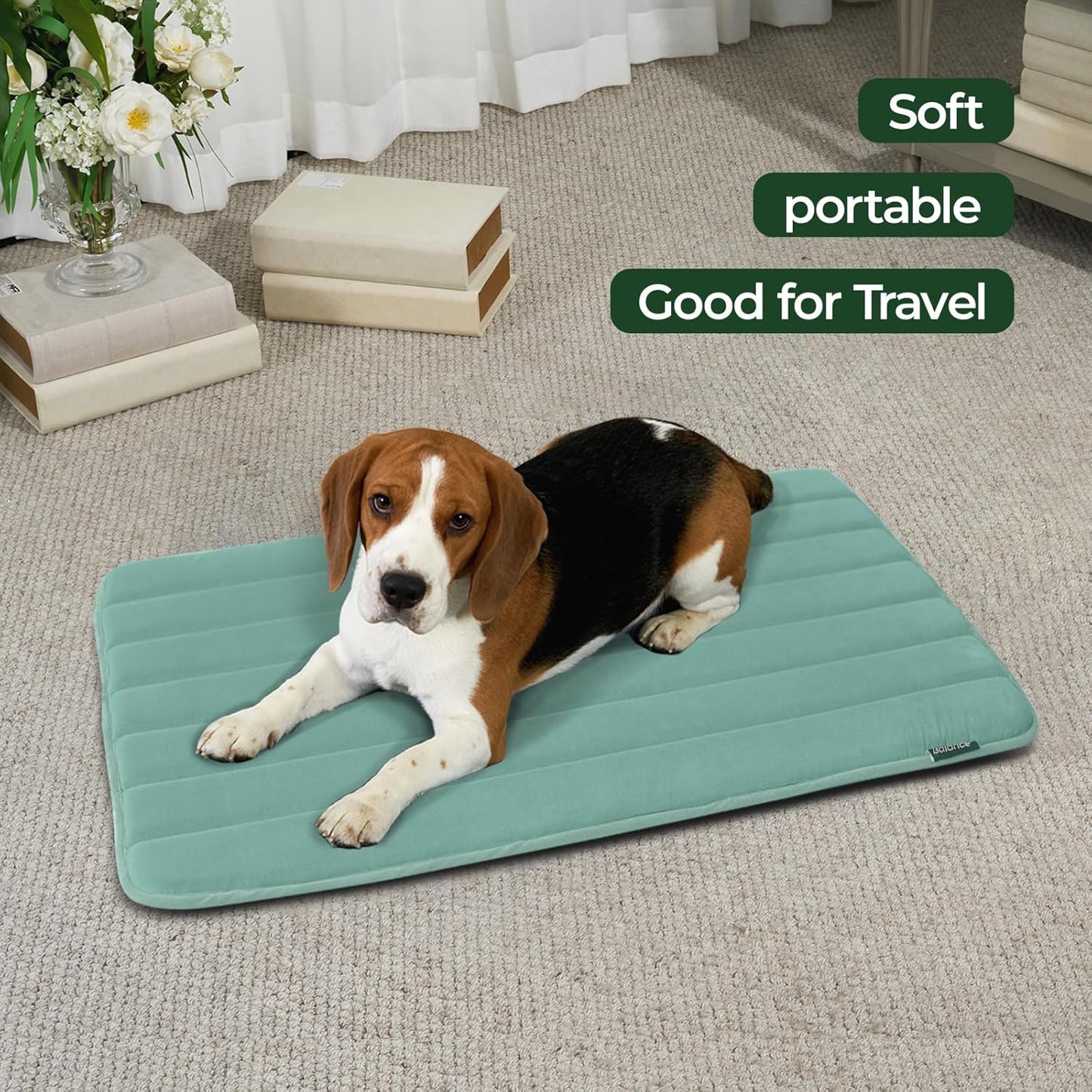 BALANCE Dog Crate Pad, Dog Foam Crate Mat Kennel Pad, Washable Water-Resistant Pet Bed Flat Dogs Cage Mat for Small Dogs