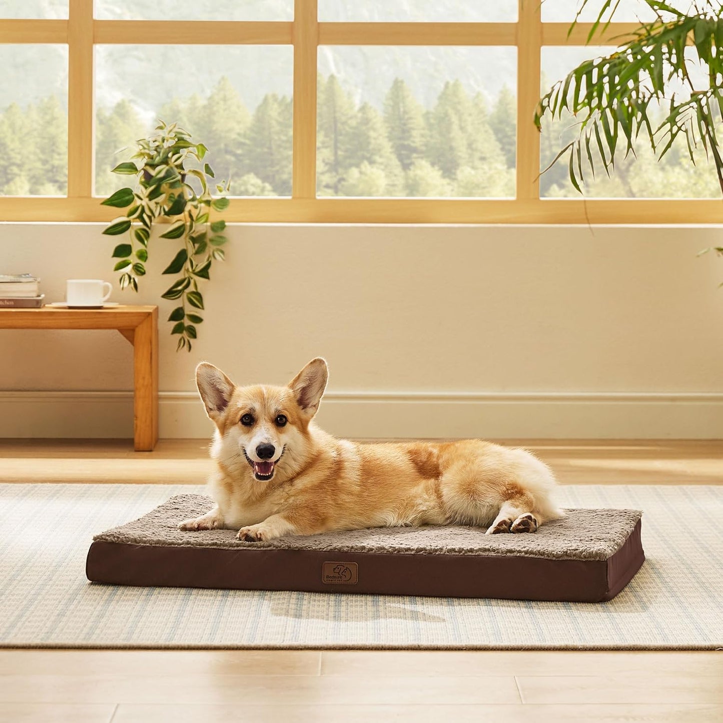 Bedsure Dog Beds Large Sized Dog - Comfy Flat Pet Beds with Removable Washable Cover, Orthopedic Egg Crate Foam Puppy Mat, Suitable for Pet Up to 65 lbs