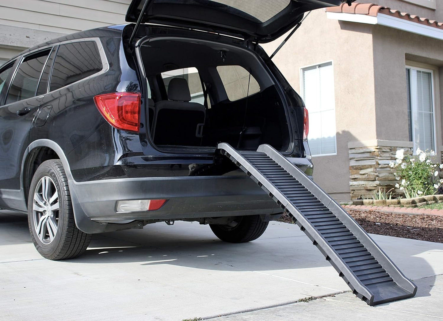 PawStep 61" Folding Pet Ramp, Portable Dog Ramp for Cars, SUVs, Beds & Couches, Lightweight PP Construction, Textured Surface, Optional Carpet for Added Traction, 165 lb Capacity (50524)