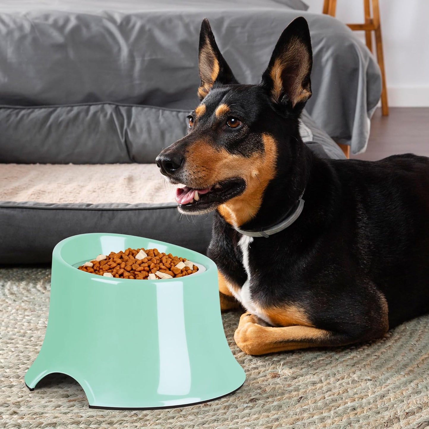 Tilted Elevated Dog Bowls Non-Slip & Non-Spill Pet Feeder with Elevated Detachable Melamine Stand, High Capacity Tilted Dog Bowl for Medium Small Size Dogs M/2 Cup Black