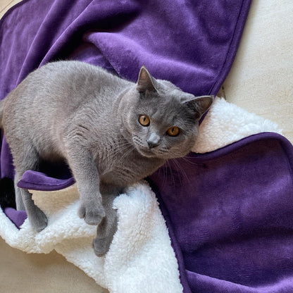 Waterproof Blanket for Bed Couch Sofa, Soft Liquid Pee Proof Pet Blanket for Dog Puppy Cat, Reversible Sherpa Fleece Furniture Protector (Dark Purple, 50x60 inches)