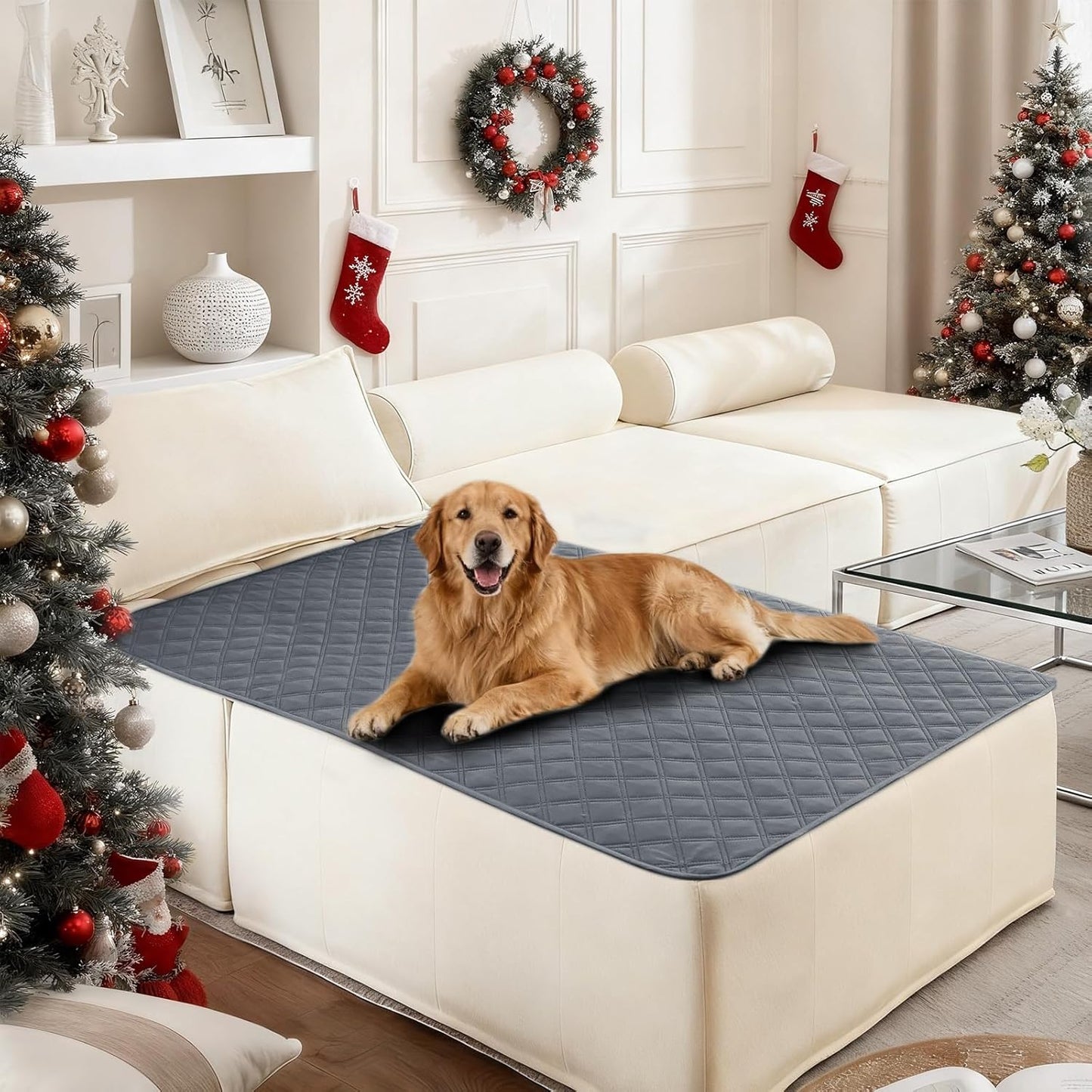 Waterproof Dog Blanket, Non-Slip Soft Pet Bed Cover, Couch Cover for Dogs Washable, Protects Sofa, Furniture, Crate, Car, Tear Resistant Leakproof Pet Blanket (30x70 Inch, Dark Grey)